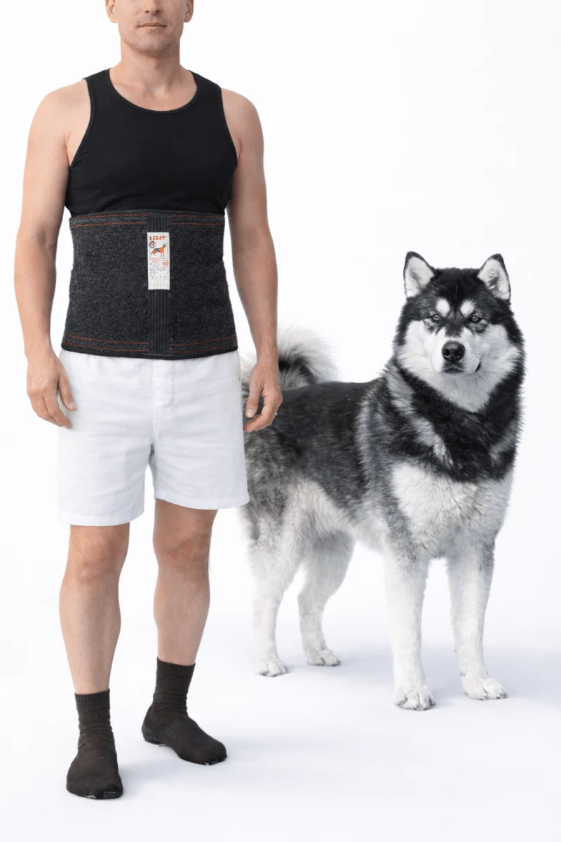 NEBAT Dog Wool Compression Warming Belt